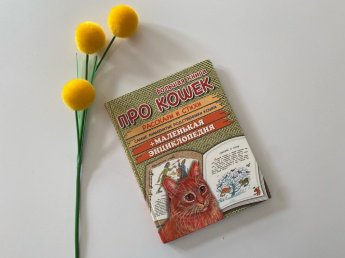 Что задумал кот: подборка книг к Дню кошек