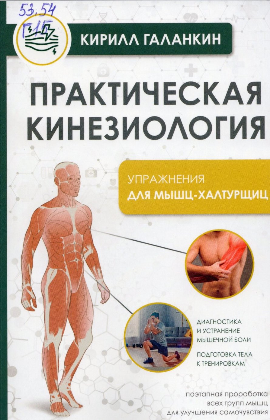 Галанкин К. Практическая кинезиология : упражнения для мышц-халтурщиц : [16+] 