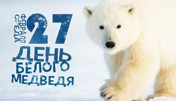 27 февраля отмечается Международный день белого медведя