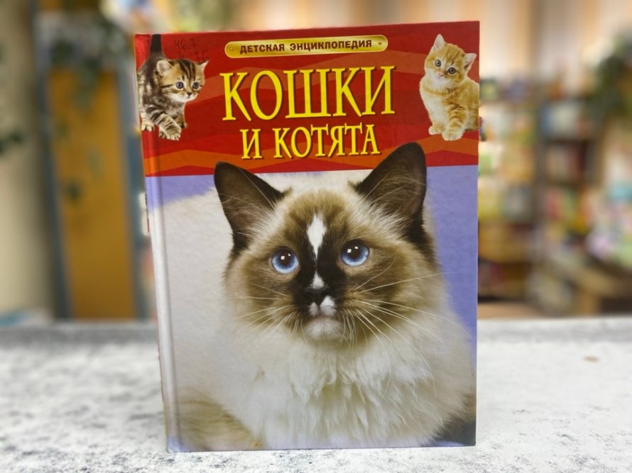 Наши пушистые любимцы. («Простоквашинские чтения» )