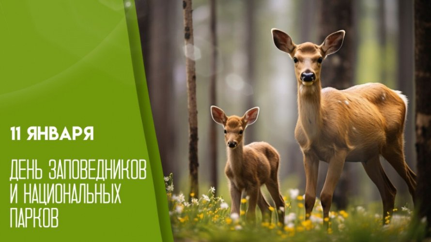 День заповедников и национальных парков. Рубрика «Праздники в календаре событий»
