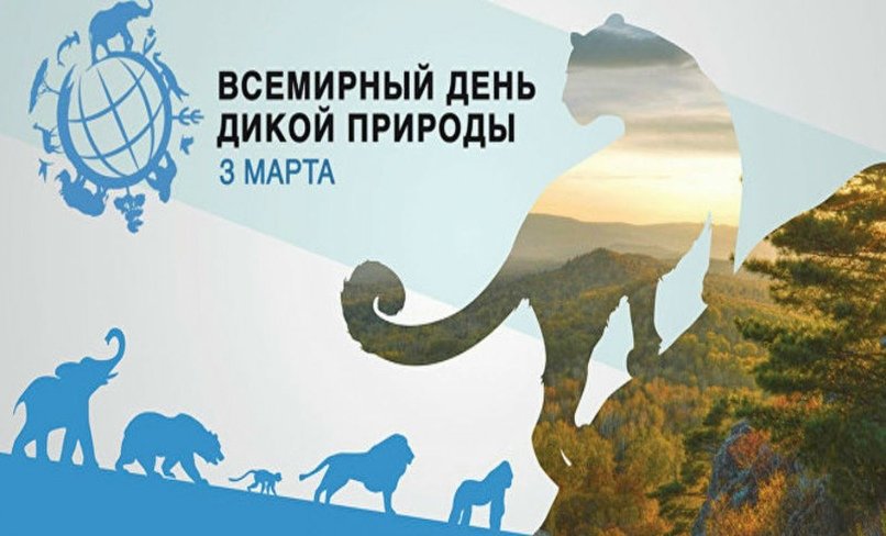 Всемирный день дикой природы. «Праздники в календаре событий» 