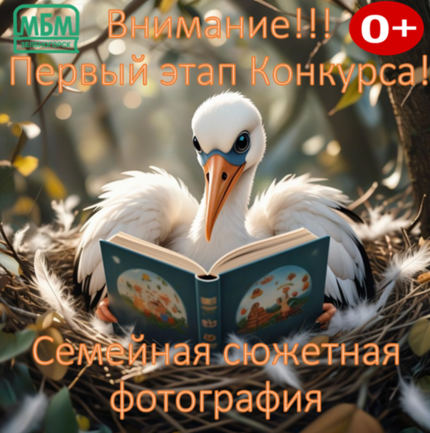 А к нам Аист прилетел! Первый этап.