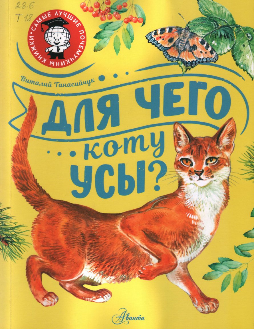 Для чего коту усы?  Детские новинки июля
