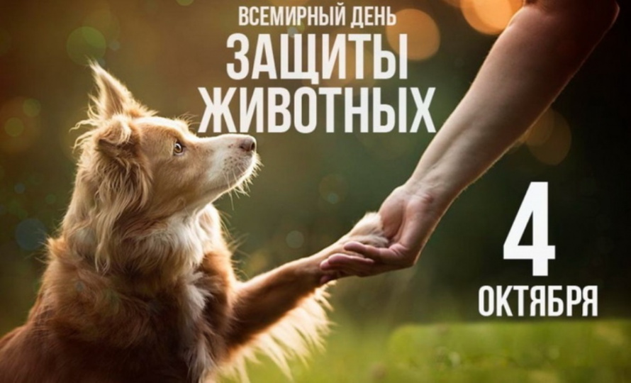 Всемирный день защиты животных. «Праздники в календаре событий»