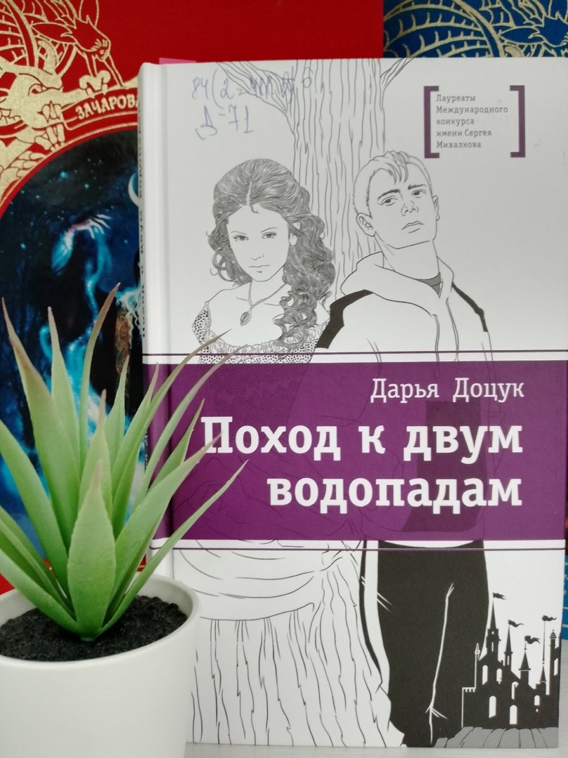 Доцук Д. Поход к двум водопадам: повесть [16+] 