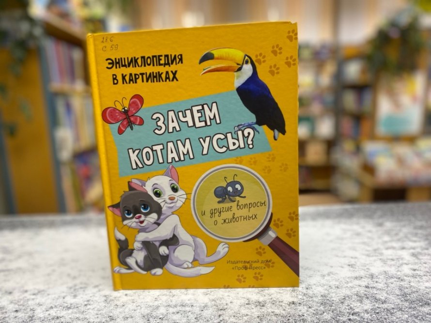 «Зачем котам усы?» («Простоквашинские чтения»)